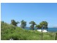 25 Harbour View Terrace, Bowen QLD 4805