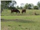 195 Kelsey Road, Bowen QLD 4805
