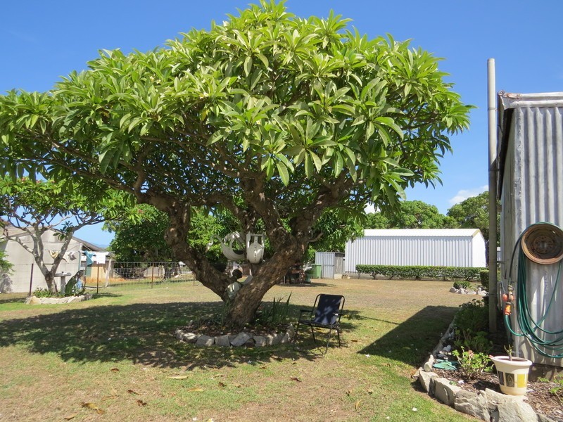 113 Powell Street, Bowen QLD 4805