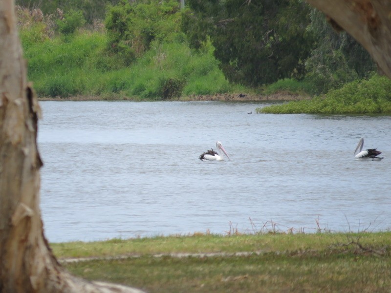 126 Herbert Street, Bowen QLD 4805