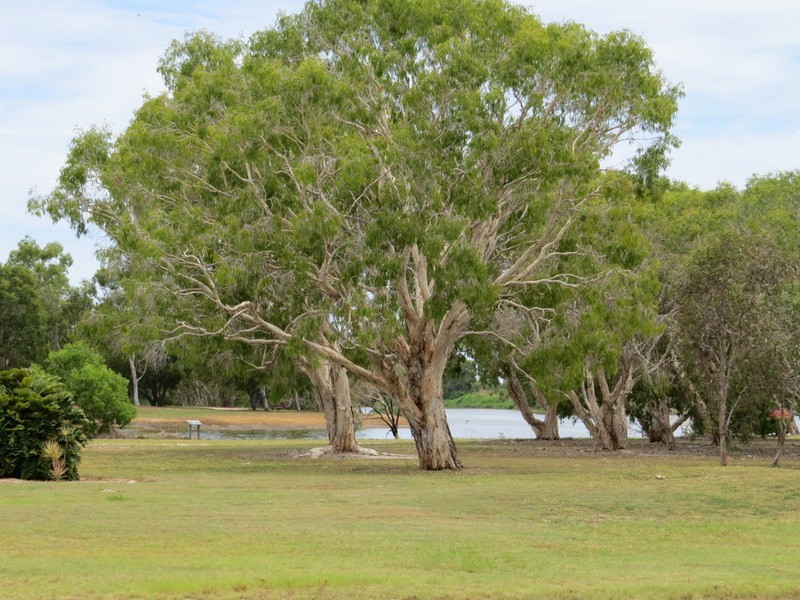 126 Herbert Street, Bowen QLD 4805