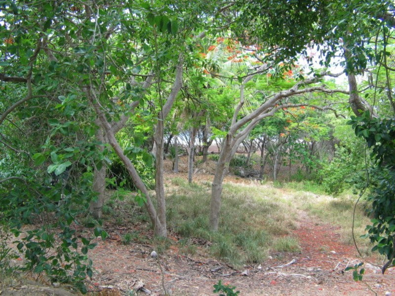 1 Casuarina Street, Bowen QLD 4805