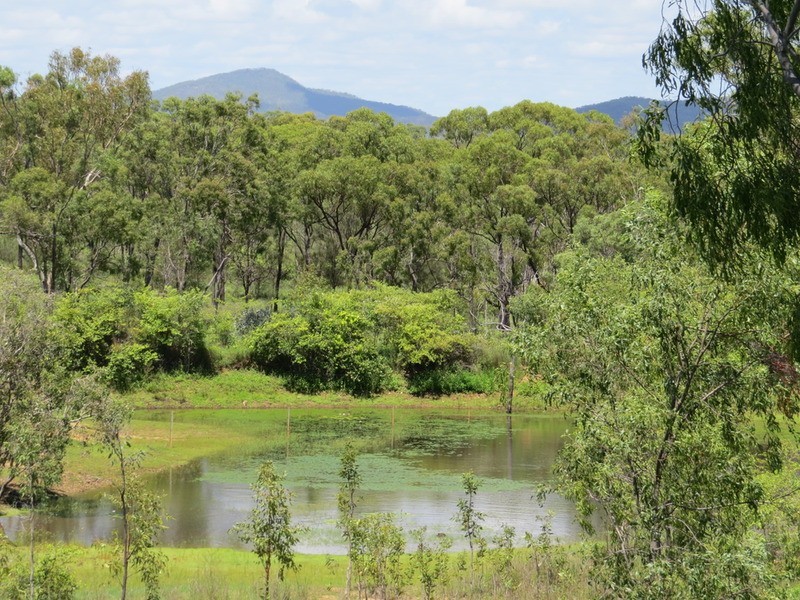 132 Africandar Road, Bowen QLD 4805