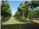 312 Richmond Road, Bowen QLD 4805