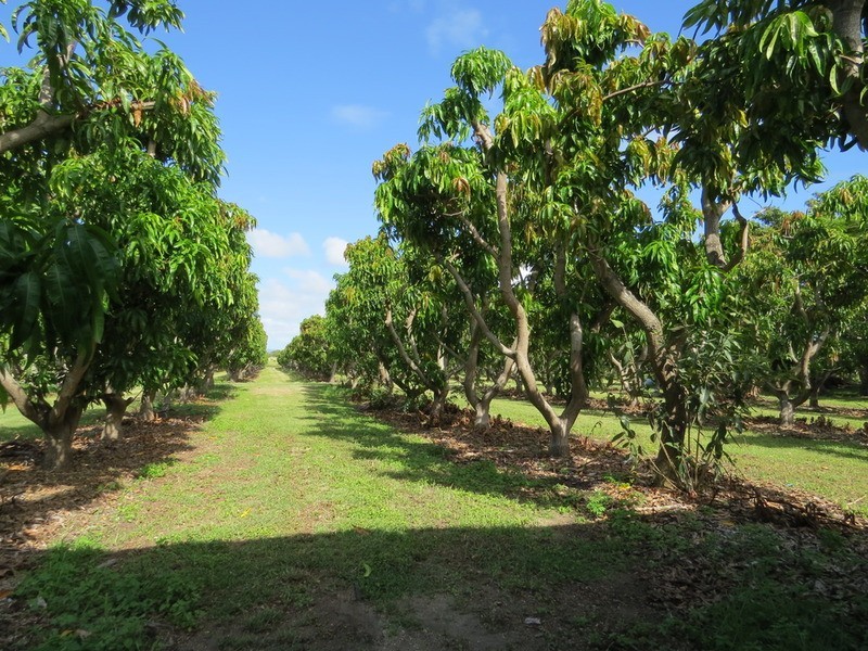 312 Richmond Road, Bowen QLD 4805