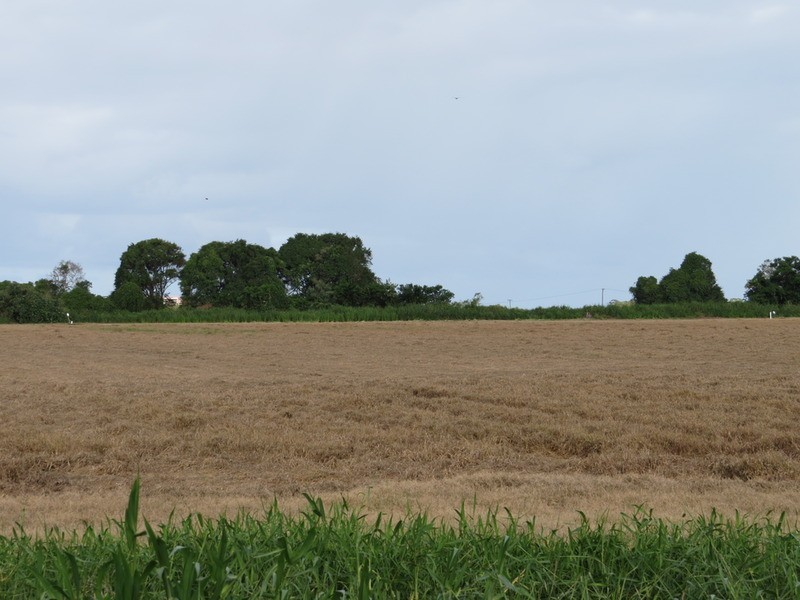 Lot 3 Sandy Lane, Bowen QLD 4805