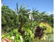 49 Mullers Lane, Bowen QLD 4805