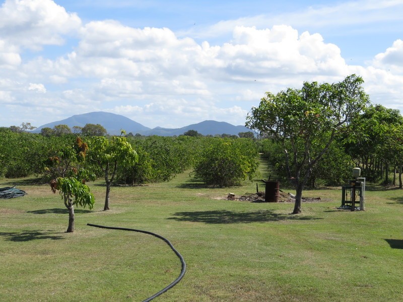 173 Inveroona Road, Bowen QLD 4805