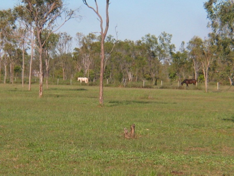 215 Euri Road, Bowen QLD 4805