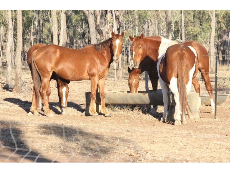 384 Normanby Road, Bogie QLD 4805