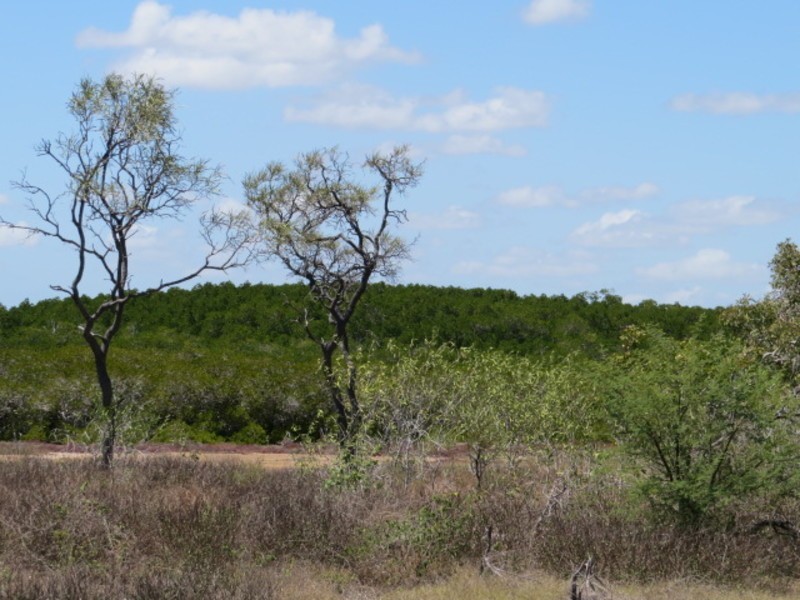 Lot 25 Adelaide Terrace, Bowen QLD 4805