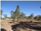 20 Africandar Road, Bowen QLD 4805
