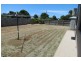 4 Harrison Court, Bowen QLD 4805