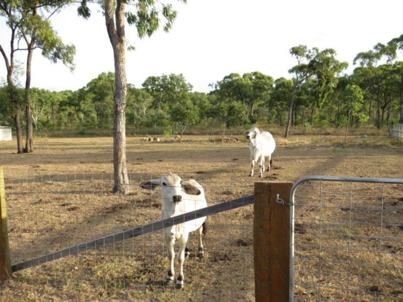 240 Africandar Road, Bowen QLD 4805