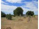 10 Balaam Road, Bowen QLD 4805