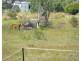Lot 1 Betzels Lane, Bowen QLD 4805