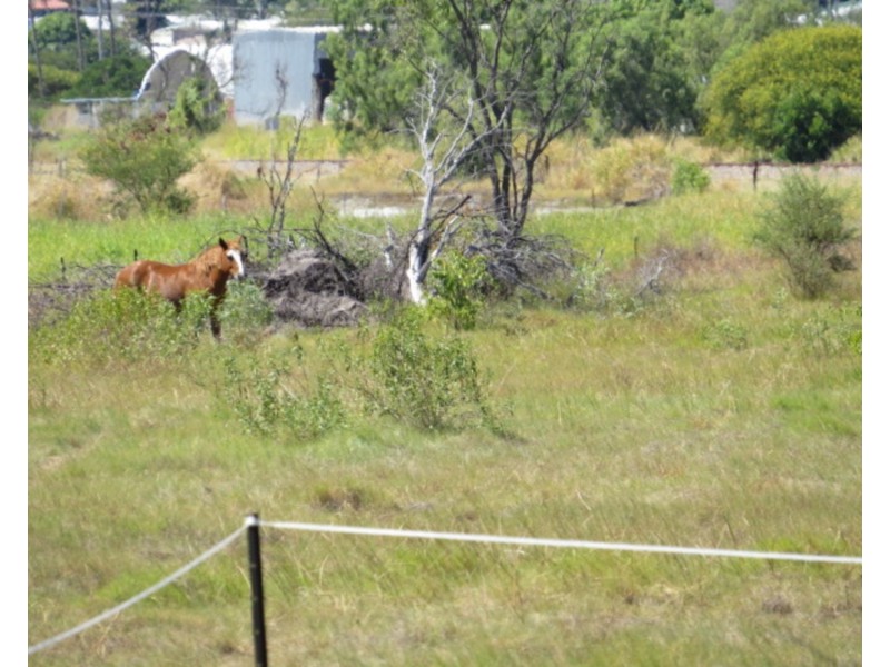 Lot 1 Betzels Lane, Bowen QLD 4805