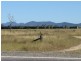 Lot 4 Bruce Highway, Bowen QLD 4805