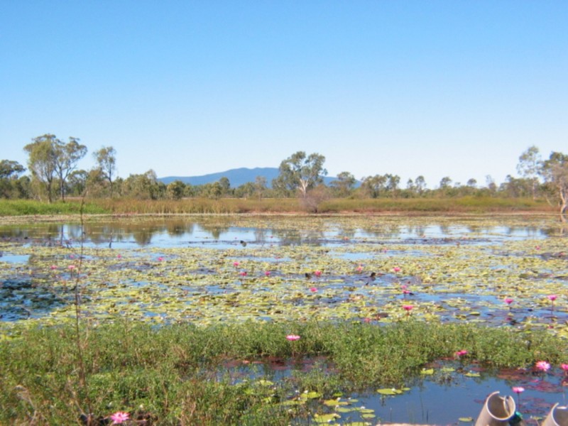 15989 Bruce Highway, Bowen QLD 4805