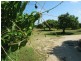 Lot 1 Millers Lane, Bowen QLD 4805