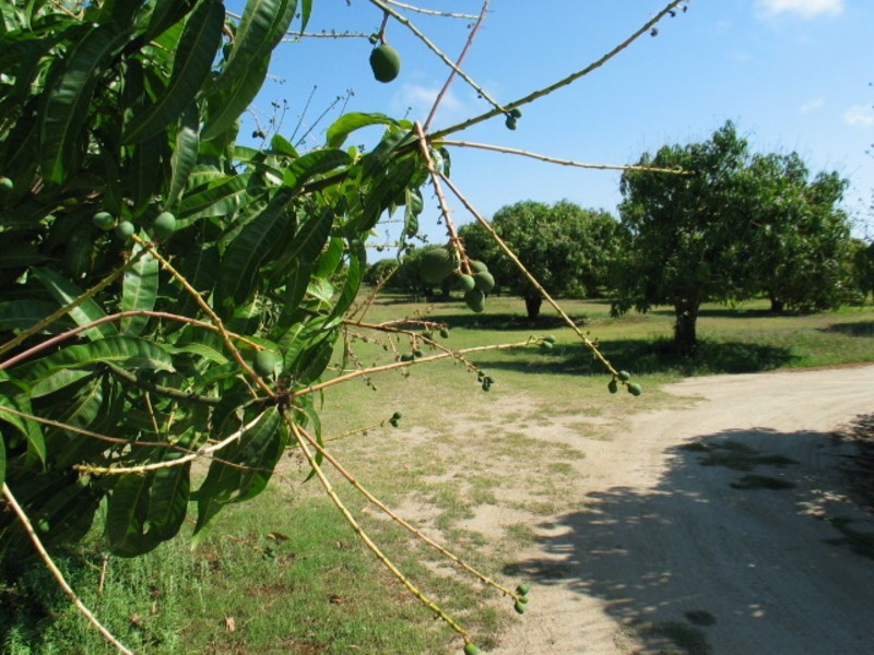 Lot 1 Millers Lane, Bowen QLD 4805