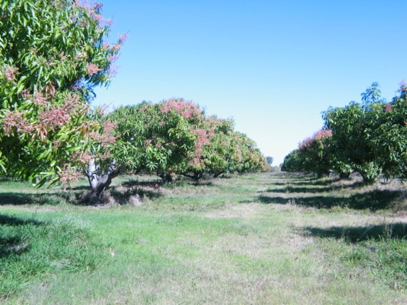 Lot 1 Millers Lane, Bowen QLD 4805