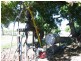 Lot 1 Millers Lane, Bowen QLD 4805