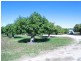Lot 1 Millers Lane, Bowen QLD 4805