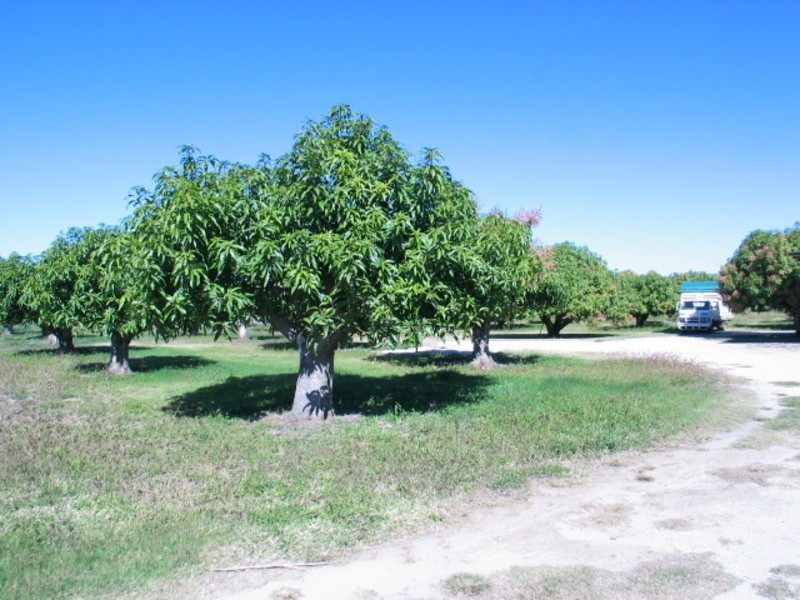 Lot 1 Millers Lane, Bowen QLD 4805
