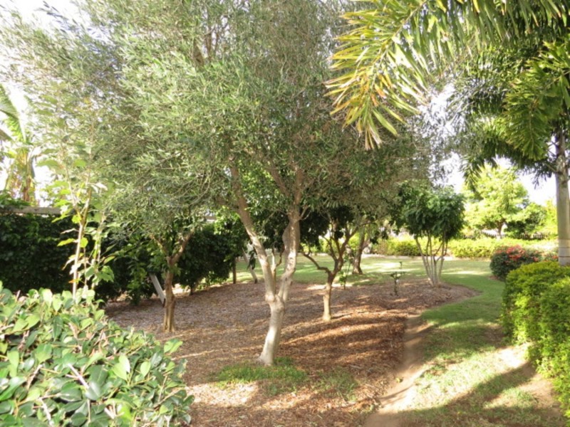 44 Avoca Road, Bowen QLD 4805