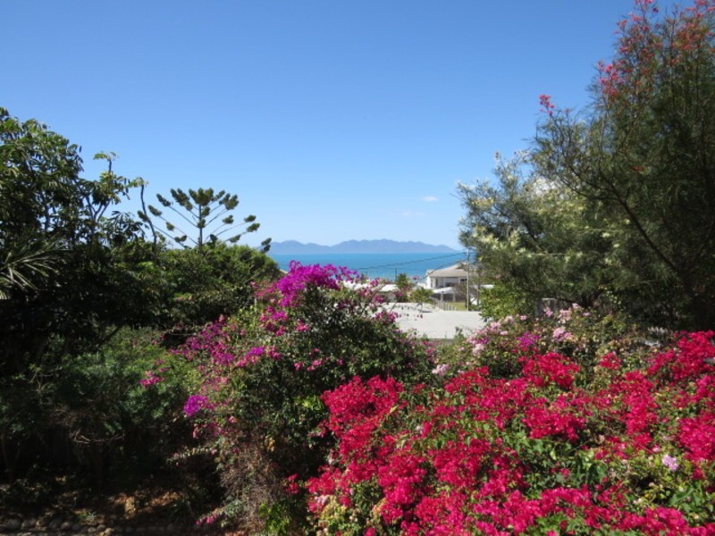 9 Avicennia Street, Bowen QLD 4805