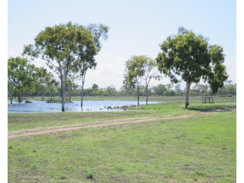 44 Roaches Road, Bowen QLD 4805
