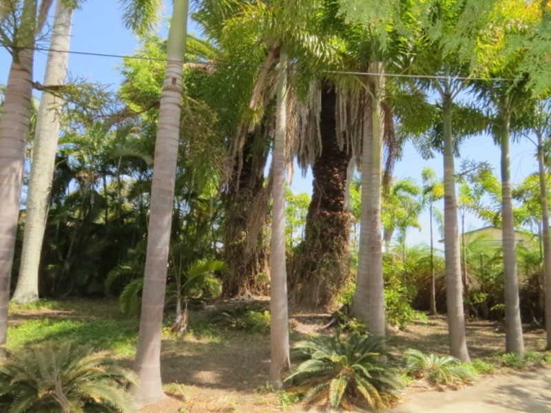 69 Tollington Road, Bowen QLD 4805