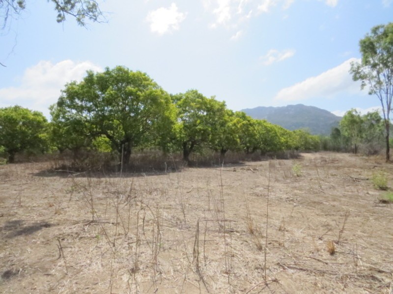 306 Euri Road, Bowen QLD 4805