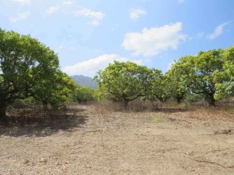 306 Euri Road, Bowen QLD 4805