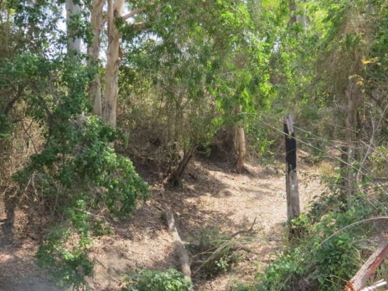 306 Euri Road, Bowen QLD 4805