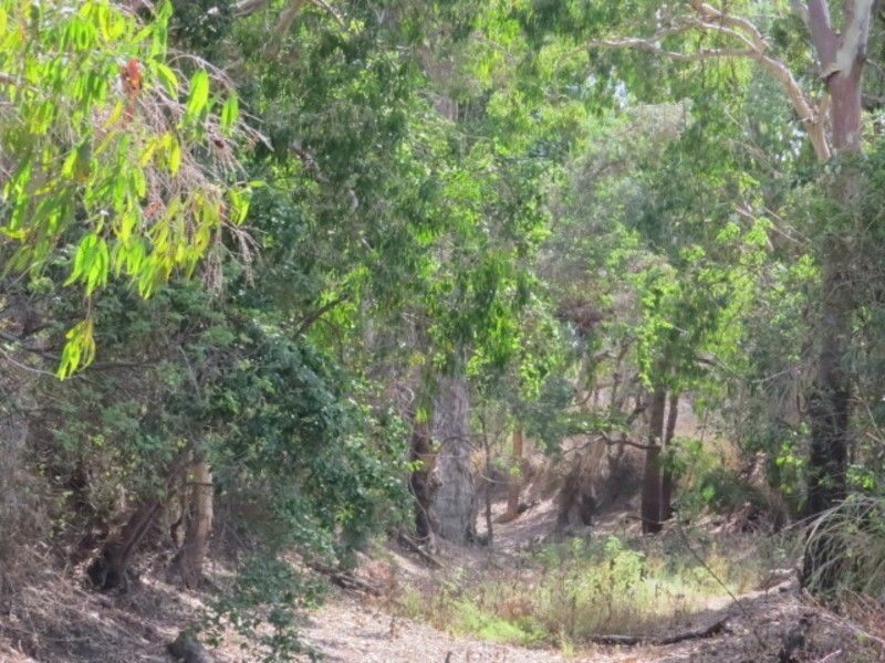 306 Euri Road, Bowen QLD 4805