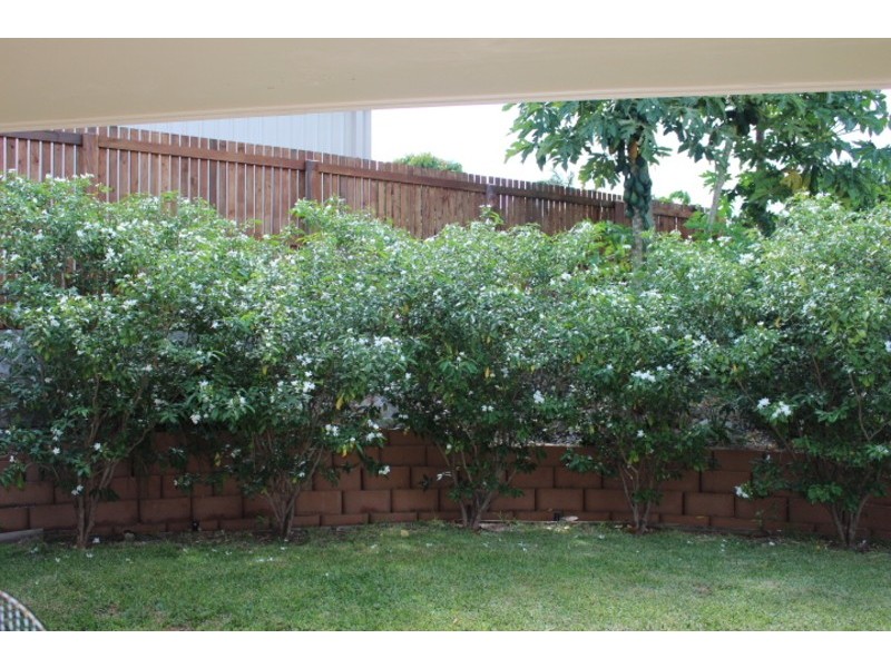 6 Tynwald Avenue, Bowen QLD 4805