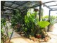 54 Drays Road, Bowen QLD 4805