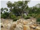 14 Craigie Court, Bowen QLD 4805