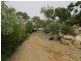14 Craigie Court, Bowen QLD 4805