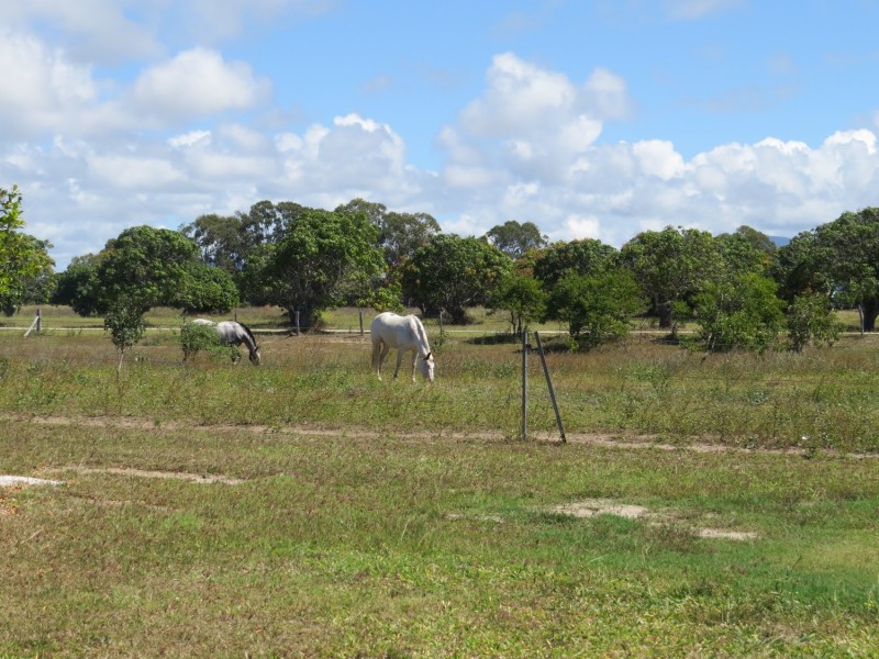 12 Kirkpatrick Court, Bowen QLD 4805