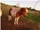 Lot 52 Betzels Lane, Bowen QLD 4805
