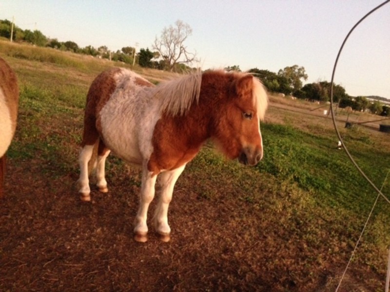 Lot 52 Betzels Lane, Bowen QLD 4805