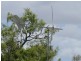 Lot 1 Mt Dangar Road, Bowen QLD 4805