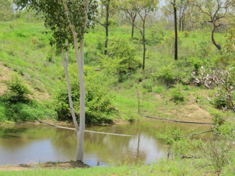 Lot 1 Mt Dangar Road, Bowen QLD 4805