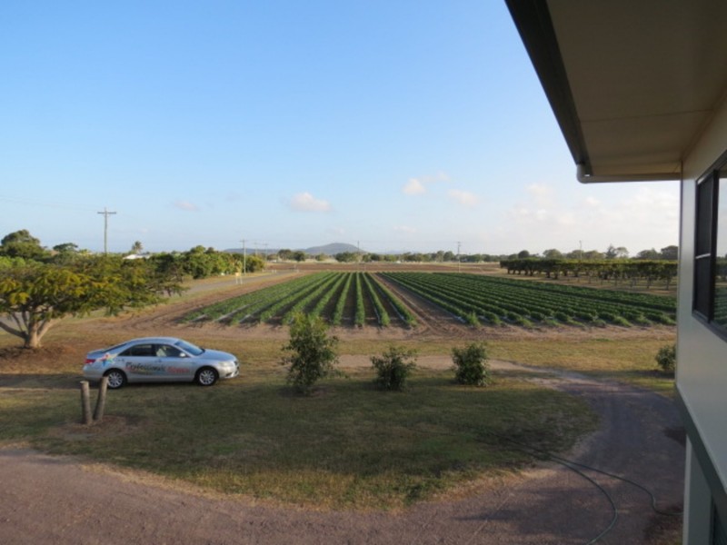 19 Chilli Lane, Bowen QLD 4805