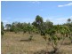 57 Africandar Road, Bowen QLD 4805