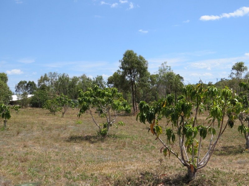 57 Africandar Road, Bowen QLD 4805