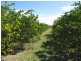 173 Inveroona Road, Bowen QLD 4805